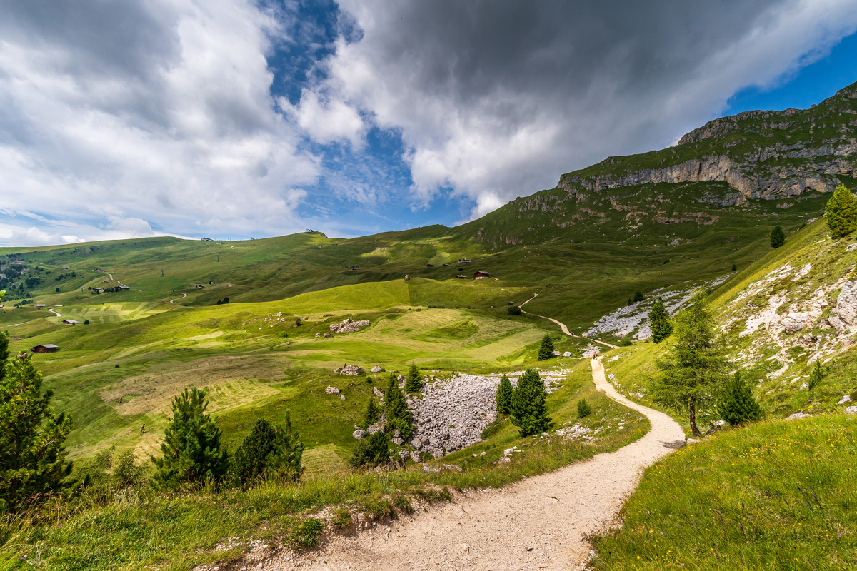 Narrow Path Between Green Grass Field